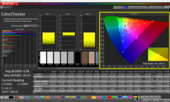 Calman ColorChecker após a calibração