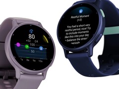 Resumo diário, alertas de descanso e alertas de estresse já estão disponíveis para o Vivoactive 5 (acima). (Fonte da imagem: Garmin).