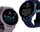 Resumo diário, alertas de descanso e alertas de estresse já estão disponíveis para o Vivoactive 5 (acima). (Fonte da imagem: Garmin).