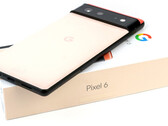 Google Pixel 6 e Pixel 6 Pro usam o Tensor SoC interno da empresa. (Fonte: Notebookcheck)