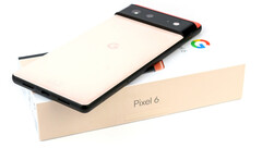 Google Pixel 6 e Pixel 6 Pro usam o Tensor SoC interno da empresa. (Fonte: Notebookcheck)