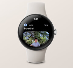 O aplicativo Home do Google pode agora mostrar notificações com imagens das campainhas de vídeo Nest em alguns smartwatches do Wear OS 3. (Fonte de imagens: Google)