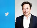 Os advogados de Elon Musk anunciaram que o empresário quer encerrar seu negócio para adquirir o Twitter (Imagem: The Royal Society, editado)