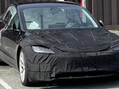 Os novos assentos de balde do Model 3 Performance (imagem: Pristine_Floor7545/Reddit)