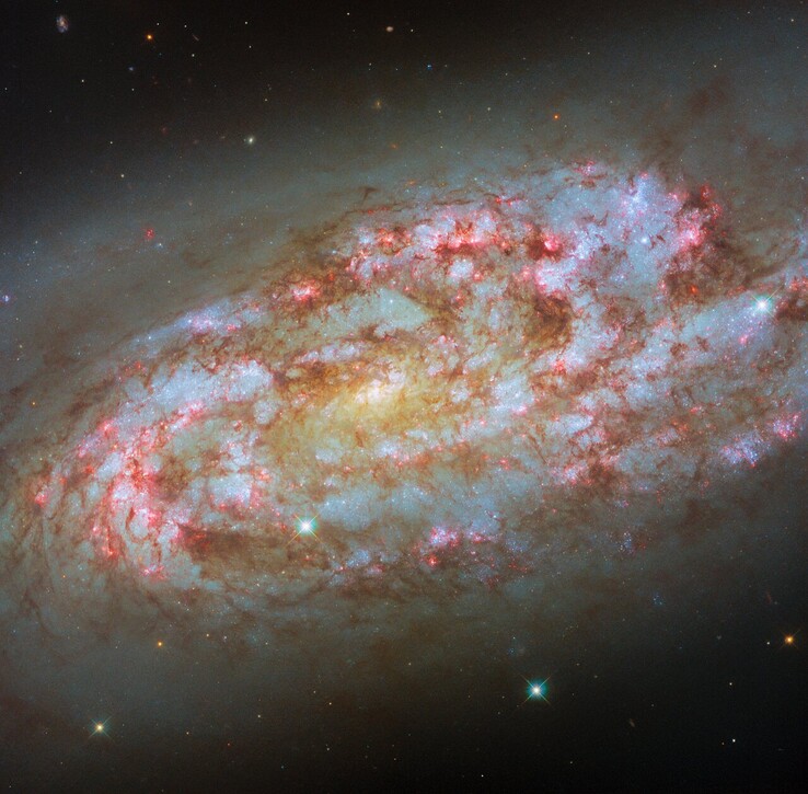 Imagem do Hubble da NGC 1792 (Fonte da imagem: ESA/Hubble, NASA, D. Thilker, F. Belfiore, J. Lee e a equipe do PHANGS-HST)