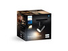 (Fonte da imagem: Philips Hue)