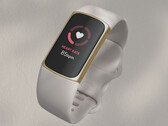 O Fitbit pode continuar a vender o Charge 5 por mais alguns meses. (Fonte de imagem: Fitbit)