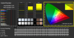 CalMAN - ColorChecker