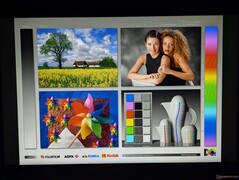 Amplos ângulos de visão IPS