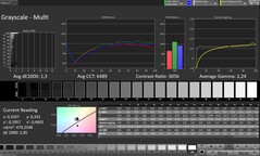 CalMAN Grayscale (Escala de cinza)