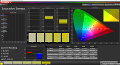 CalMAN Saturação calibrada (AdobeRGB target color space)