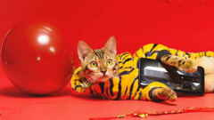 Um &quot;tigre&quot; com um telefone RedMagic. (Fonte: RedMagic)