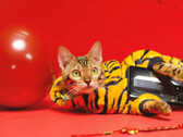 Um "tigre" com um telefone RedMagic. (Fonte: RedMagic)