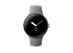 O Google confirmou que as notificações de ritmo cardíaco irregular não estão disponíveis no Pixel Watch. (Fonte de imagem: Google)