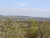 OnePlus 13 - zoom 3x