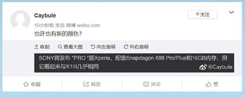 Sony Xperia 1 III Pro. (Fonte da imagem: Weibo via AndroidNext)