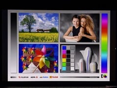 Amplos ângulos de visão do OLED