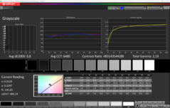 Escalas de cinza CalMAN (após a calibração)