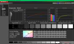 Escala de cinza antes da calibração