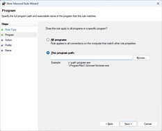 Digite o caminho do arquivo UplayWebCore.exe
