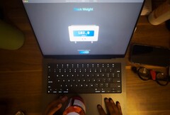 O trackpad do MacBook Pro pode pesar pequenos objetos. (Fonte da imagem: Krish Shah)