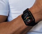 Os smartwatches Venu X1 (foto) e vivoactive 6 da Garmin estão recebendo uma nova atualização. (Fonte da imagem: Garmin)