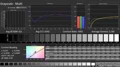 CalMAN: Escala de cinza (calibrada)