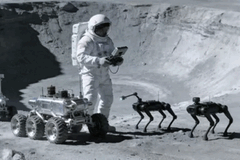 Engenheiros chineses consideram que cães robóticos na Lua poderiam auxiliar os astronautas.