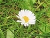 zoom de 10x