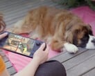 Muitos jogadores ainda preferem o Steam Deck, apesar de seu hardware mais fraco.