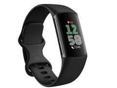 Fitbit: Nova atualização de software para o aplicativo (Fitbit/Google)