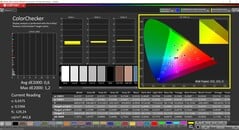 CalMAN ColorChecker calibrado (espaço de cor alvo: P3)