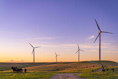 Parque eólico Smokey Hills da Enel. Imagem de referência. (Fonte da imagem: Enel)