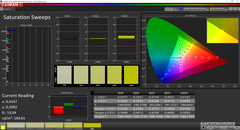 Saturation (after calibration)