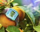 O Timex 80 36mm (na foto) com uma pulseira de expansão de aço inoxidável. (Fonte da imagem: Timex)