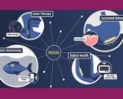 Um infográfico mostrando algumas aplicações potenciais do MUSAS (Fonte da imagem: Giovanni Traverso; captura de tela editada)