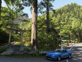 Uma captura de tela mostrando a renderização do Forza Horizon 6 de um marco japonês