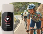O recurso Fitbit Unusual trends usa dados como frequência cardíaca e frequência respiratória. (Fonte da imagem: Fitbit)