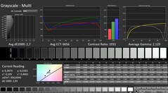 CalMAN: Escala de cinza