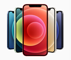 Descobriu-se que o iPhone 12 emite mais radiação do que deveria quando colocado em um bolso. (Fonte da imagem: Apple)