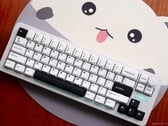 Teclado mecânico acessível com design exclusivo, prejudicado por teclas questionáveis: Análise do Epomaker Galaxy68