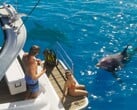 Espera-se que a pesca no GTA 6 seja tão detalhada quanto no Red Dead Redemption 2, mas os peixes capturados deverão ser soltos.