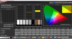 CalMAN ColorChecker calibrado