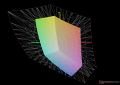 vs. Adobe RGB: 42,1% de cobertura