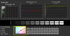 Calman ColorChecker: DisplayP3 modo de exibição - escala de cinza