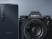 O Xperia 5 II é um dos cinco smartphones Xperia a receber Android 11 até o momento. (Fonte de imagem: Sony)