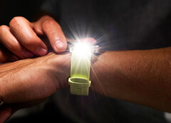 O Garmin Connect apresenta problemas de conexão após a última atualização (Fonte da imagem: Garmin)