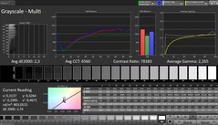 Escala de cinza (perfil: Professional, espaço de cor de destino: sRGB)