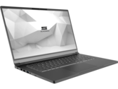 O laptop VIA 15 Pro ainda apresenta um painel LCD FHD muito bom com 100% de cores sRGB. (Fonte de imagem: Schenker)