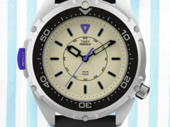 O Timex Intrepid x Dimepiece Edition (na foto). (Fonte da imagem: Timex)